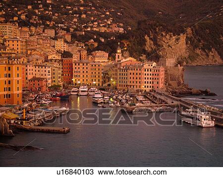 Italy, Camogli, Riviera di Levante, Liguria, Ligurian Riviera, Europe, Scenic view of the fishing port in the resort town of Camogli at sunset along the Ligurian Sea. View Large Photo Image Stock Image - Italy, Camogli, Riviera di Levante, Liguria, Ligurian Riviera, Europe, Scenic view of the fishing port in the resort town of Camogli at sunset along the Ligurian Sea.. Fotosearch