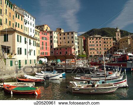 Italy, Camogli, Riviera di Levante, Ligurian Riviera, Liguria, Europe, Fishing boats docked along the waterfront of the fishing port in the resort town of Camogli along the Ligurian Sea. View Large Photo Image Stock Image - Italy, Camogli, Riviera di Levante, Ligurian Riviera, Liguria, Europe, Fishing boats docked along the waterfront of the fishing port in the resort town of Camogli along the Ligurian Sea.. Fotosearch