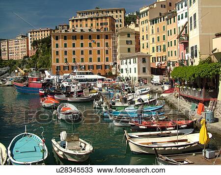 Stock Image -  Italy, Camogli, Riviera di Levante, Liguria, Ligurian Riviera, Europe, Fishing boats docked in the fishing port in the resort town of Camogli along the Ligurian Sea.. Fotosearch