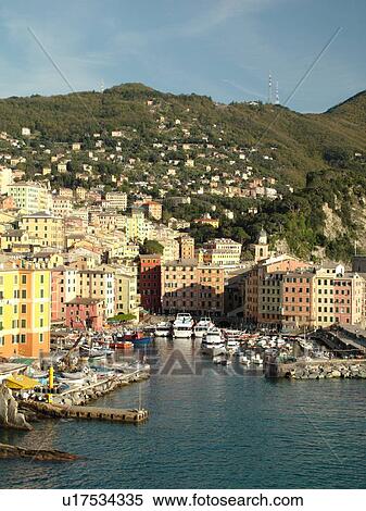 Stock Photography -  Italy, Camogli, Riviera di Levante, Ligurian Riviera, Liguria, Europe, Scenic view of the fishing port in the resort town of Camogli along the Ligurian Sea.. Fotosearch