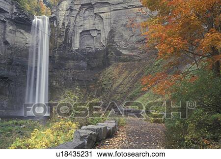 Ithaca, NY, New York, Finger Lakes Region, Taughannock Falls State Park, 215 foot waterfall, autumn View Large Photo Image Stock Image - Ithaca, NY, New York, Finger Lakes Region, Taughannock Falls State Park, 215 foot waterfall, autumn. Fotosearch