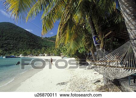 Jost Van Dyke, beach, British Virgin Islands, Caribbean, BVI, Hammock on a white sandy beach on Jost Van Dyke Island in Great Harbor on the Caribbean Sea. View Large Photo Image Stock Image - Jost Van Dyke, beach, British Virgin Islands, Caribbean, BVI, Hammock on a white sandy beach on Jost Van Dyke Island in Great Harbor on the Caribbean Sea.. Fotosearch