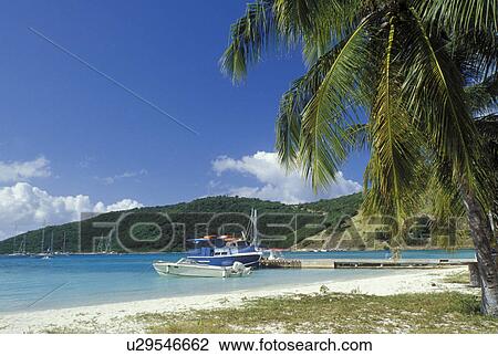 Jost Van Dyke, beach, British Virgin Islands, Caribbean, BVI, White sand beach on Jost Van Dyke Island in Great Harbor on the Caribbean Sea. View Large Photo Image Stock Image - Jost Van Dyke, beach, British Virgin Islands, Caribbean, BVI, White sand beach on Jost Van Dyke Island in Great Harbor on the Caribbean Sea.. Fotosearch