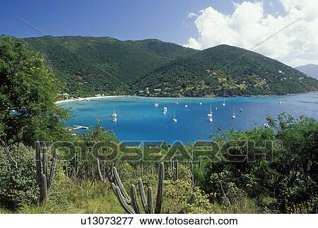 Jost Van Dyke, British Virgin Islands, Caribbean, BVI, Scenic view of Great Harbor on Jost Van Dyke Island on the Caribbean Sea. View Large Photo Image Stock Photo - Jost Van Dyke, British Virgin Islands, Caribbean, BVI, Scenic view of Great Harbor on Jost Van Dyke Island on the Caribbean Sea.. Fotosearch