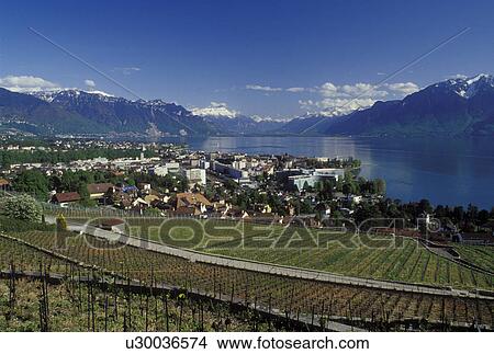 Lavaux, Switzerland, Vevey, Vaud, Lake Geneva, Alps, Europe, Scenic view of the city of Vevey and the Alps along the lakeshore of Lac Leman in the spring in the Canton of Vaud. View Large Photo Image Picture - Lavaux, Switzerland, Vevey, Vaud, Lake Geneva, Alps, Europe, Scenic view of the city of Vevey and the Alps along the lakeshore of Lac Leman in the spring in the Canton of Vaud.. Fotosearch