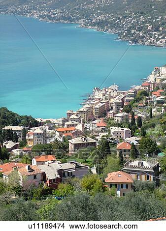 Picture -  Liguria, Camogli, Italy, Riviera di Levante, Ligurian Riviera, Europe, Scenic view of the resort town of Camogli along the Ligurian Sea.. Fotosearch