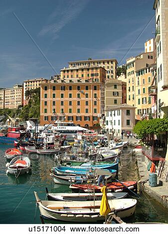 Liguria, Italy, Camogli, Riviera di Levante, Ligurian Riviera, Europe, Fishing boats docked in the fishing port in the resort town of Camogli along the Ligurian Sea. View Large Photo Image Picture - Liguria, Italy, Camogli, Riviera di Levante, Ligurian Riviera, Europe, Fishing boats docked in the fishing port in the resort town of Camogli along the Ligurian Sea.. Fotosearch