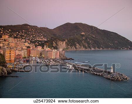 Picture -  Liguria, Italy, Camogli, Riviera di Levante, Ligurian Riviera, Europe, Scenic view of the fishing port in the resort town of Camogli at sunset along the Ligurian Sea.. Fotosearch