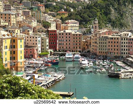 Stock Image -  Liguria, Italy, Camogli, Riviera di Levante, Ligurian Riviera, Europe, Scenic view of the fishing harbor in the resort town of Camogli along the Ligurian Sea.. Fotosearch