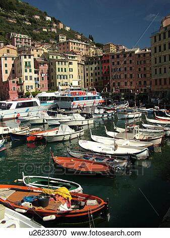 Liguria, Italy, Camogli, Riviera di Levante, Ligurian Riviera, Europe, Fishing boats and yachts docked in the fishing port in the resort town of Camogli along the Ligurian Sea. View Large Photo Image Stock Image - Liguria, Italy, Camogli, Riviera di Levante, Ligurian Riviera, Europe, Fishing boats and yachts docked in the fishing port in the resort town of Camogli along the Ligurian Sea.. Fotosearch