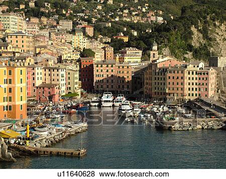 Stock Photo -  Liguria, Italy, Camogli, Riviera di Levante, Ligurian Riviera, Europe, Scenic view of the fishing port in the resort town of Camogli along the Ligurian Sea.. Fotosearch
