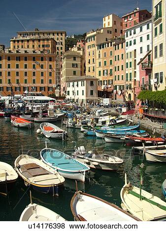 Stock Photo -  Liguria, Italy, Camogli, Riviera di Levante, Ligurian Riviera, Europe, Fishing boats docked in the fishing port in the resort town of Camogli along the Ligurian Sea.. Fotosearch