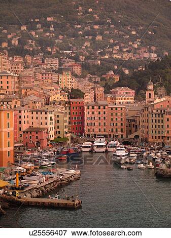 Stock Photo -  Liguria, Italy, Camogli, Riviera di Levante, Ligurian Riviera, Europe, Scenic view of the fishing port in the resort town of Camogli along the Ligurian Sea.. Fotosearch
