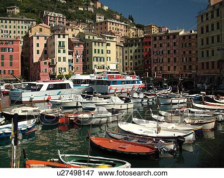 Stock Photo -  Liguria, Italy, Camogli, Riviera di Levante, Ligurian Riviera, Europe, Fishing boats and yachts docked in the fishing port in the resort town of Camogli along the Ligurian Sea.. Fotosearch