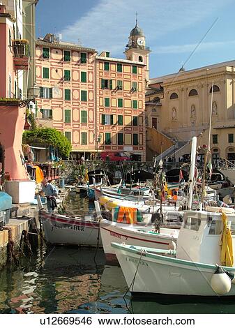 Liguria, Italy, Camogli, Riviera di Levante, Ligurian Riviera, Europe, Fishing boats docked along the waterfront of the fishing port in the resort town of Camogli along the Ligurian Sea. View Large Photo Image Stock Photograph - Liguria, Italy, Camogli, Riviera di Levante, Ligurian Riviera, Europe, Fishing boats docked along the waterfront of the fishing port in the resort town of Camogli along the Ligurian Sea.. Fotosearch