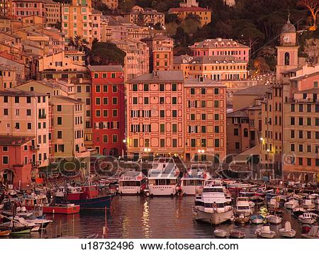Liguria, Italy, Camogli, Riviera di Levante, Ligurian Riviera, Europe, Scenic view of the fishing port in the resort town of Camogli at sunset along the Ligurian Sea. View Large Photo Image Stock Photograph - Liguria, Italy, Camogli, Riviera di Levante, Ligurian Riviera, Europe, Scenic view of the fishing port in the resort town of Camogli at sunset along the Ligurian Sea.. Fotosearch