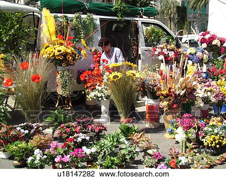 Stock Image -  Liguria, Italy, Rapallo, Riviera di Levante, Ligurian Riviera, Europe, Flowers for sale at the outdoor market in the resort town of Rapallo.. Fotosearch