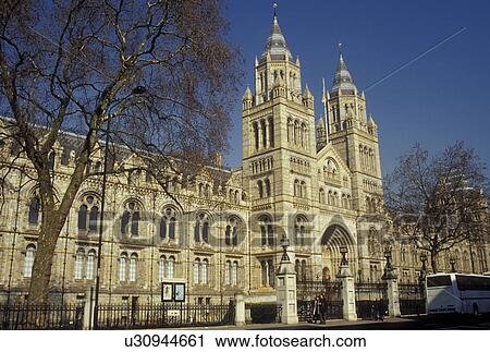 London, England, Great Britain, United Kingdom, Europe, Natural History Museum View Large Photo Image Stock Image - London, England, Great Britain, United Kingdom, Europe, Natural History Museum. Fotosearch