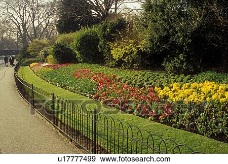 London, England, Great Britain, United Kingdom, Europe, St. James Park in the spring. View Large Photo Image Stock Photo - London, England, Great Britain, United Kingdom, Europe, St. James Park in the spring.. Fotosearch