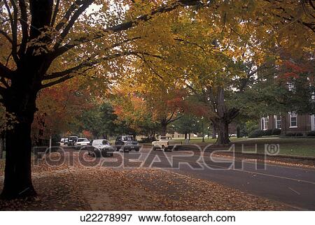 Stock Photo -  Maryville, TN, Tennessee, Maryville College, campus, fall. Fotosearch