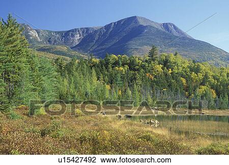 ME, Maine, Baxter State Park, Scenic view of Mt. Katahdin from Tracy Pond in Baxter State Park in the fall. View Large Photo Image Stock Image - ME, Maine, Baxter State Park, Scenic view of Mt. Katahdin from Tracy Pond in Baxter State Park in the fall. . Fotosearch