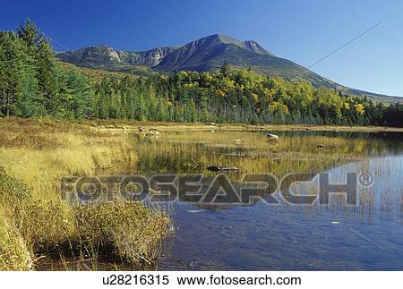 ME, Maine, Baxter State Park, Scenic view of Mt. Katahdin from Tracy Pond in Baxter State Park in the fall. View Large Photo Image Stock Photography - ME, Maine, Baxter State Park, Scenic view of Mt. Katahdin from Tracy Pond in Baxter State Park in the fall. . Fotosearch