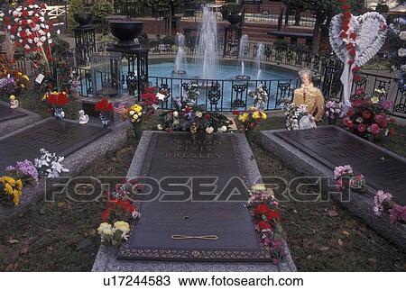 Memphis, TN, Tennessee, Graceland, Elvis Presley, Graves of Elvis' parents, Meditation Garden View Large Photo Image Stock Image - Memphis, TN, Tennessee, Graceland, Elvis Presley, Graves of Elvis' parents, Meditation Garden. Fotosearch