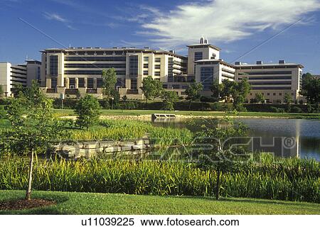 Stock Photography -  MO, Missouri, Kansas City, Nature Conservancy, University of Missouri-Kansas City. Fotosearch