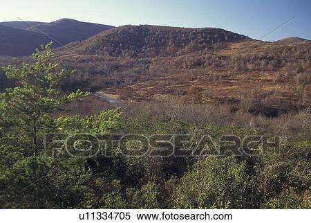 NC, North Carolina, Blue Ridge Parkway, Graveyard Fields, mountains, fall View Large Photo Image Stock Photography - NC, North Carolina, Blue Ridge Parkway, Graveyard Fields, mountains, fall . Fotosearch