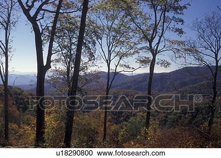 NC, North Carolina, Great Smoky Mountains National Park, fall View Large Photo Image Stock Image - NC, North Carolina, Great Smoky Mountains National Park, fall. Fotosearch
