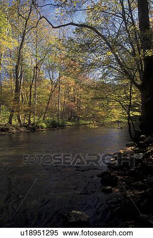 NC, North Carolina, Great Smoky Mountains National Park, Oconaluftee River, fall View Large Photo Image Stock Photography - NC, North Carolina, Great Smoky Mountains National Park, Oconaluftee River, fall. Fotosearch