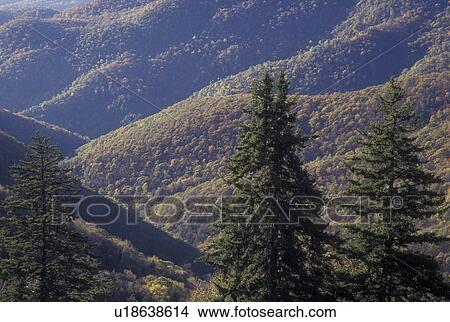 Picture -  NC, North Carolina, Nantahala National Forest, mountains, fall. Fotosearch
