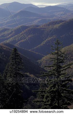 NC, North Carolina, Nantahala National Forest, mountains, fall View Large Photo Image Picture - NC, North Carolina, Nantahala National Forest, mountains, fall. Fotosearch