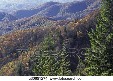 NC, North Carolina, Nantahala National Forest, mountains, fall View Large Photo Image Picture - NC, North Carolina, Nantahala National Forest, mountains, fall. Fotosearch