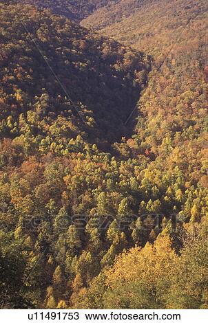 Stock Image -  NC, North Carolina, Nantahala National Forest, mountains, fall. Fotosearch