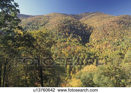 NC, North Carolina, Nantahala National Forest, mountains, fall View Large Photo Image Stock Image - NC, North Carolina, Nantahala National Forest, mountains, fall. Fotosearch