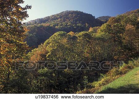 Stock Photograph -  NC, North Carolina, Nantahala National Forest, mountains, fall. Fotosearch