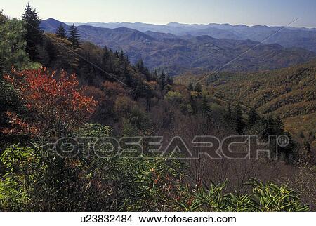 Picture -  NC, North Carolina, Pisgah National Forest, Blue Ridge Parkway, mountains, fall. Fotosearch