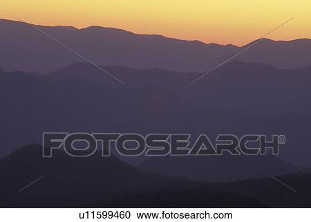 NC, North Carolina, Pisgah National Forest, mountains, sunrise View Large Photo Image Stock Image - NC, North Carolina, Pisgah National Forest, mountains, sunrise. Fotosearch