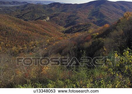 NC, North Carolina, Pisgah National Forest, Blue Ridge Parkway, mountains, fall View Large Photo Image Stock Image - NC, North Carolina, Pisgah National Forest, Blue Ridge Parkway, mountains, fall. Fotosearch