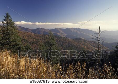 NC, North Carolina, Pisgah National Forest, mountains, fall View Large Photo Image Stock Image - NC, North Carolina, Pisgah National Forest, mountains, fall. Fotosearch