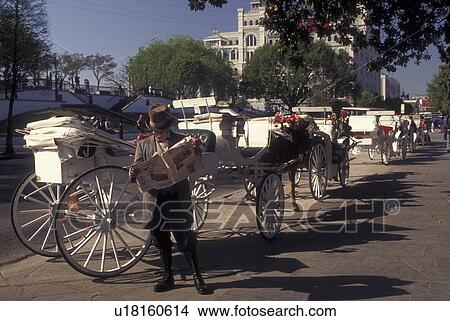 New Orleans, LA, Louisiana, French Quarter, Carriage ride along Decatur Street, horse-drawn carriages View Large Photo Image Picture - New Orleans, LA, Louisiana, French Quarter, Carriage ride along Decatur Street, horse-drawn carriages. Fotosearch