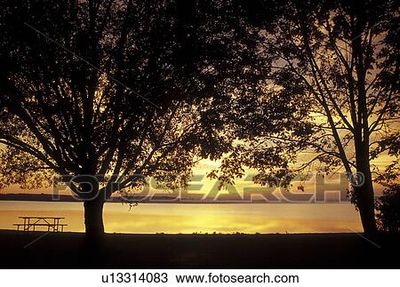 NY, Finger Lakes, New York, Cayuga Lake at sunrise at Cayuga Lake State Park View Large Photo Image Stock Image - NY, Finger Lakes, New York, Cayuga Lake at sunrise at Cayuga Lake State Park. Fotosearch