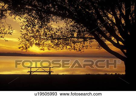 Stock Image -  NY, Finger Lakes, New York, Cayuga Lake at sunrise at Cayuga Lake State Park. Fotosearch