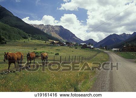 Ophir, CO, Colorado, San Juan Mountains, San Juan National Forest, Colmar Mining Camp View Large Photo Image Stock Photograph - Ophir, CO, Colorado, San Juan Mountains, San Juan National Forest, Colmar Mining Camp. Fotosearch