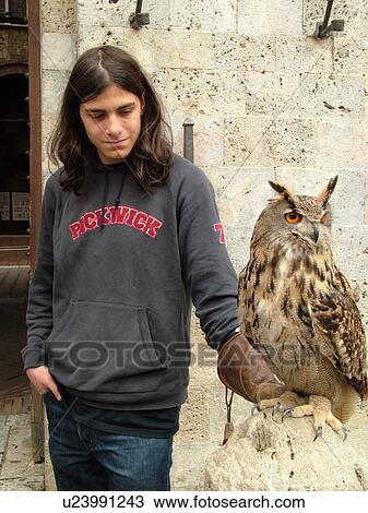 owl, Tuscany, Italy, Siena, Toscana, Europe, Young man holding an owl in Piazza del Campo in the city of Siena. View Large Photo Image Stock Image - owl, Tuscany, Italy, Siena, Toscana, Europe, Young man holding an owl in Piazza del Campo in the city of Siena.. Fotosearch