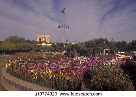Phoenix, AZ, Arizona, Gardens on the Arizona State Capitol Grounds View Large Photo Image Stock Image - Phoenix, AZ, Arizona, Gardens on the Arizona State Capitol Grounds. Fotosearch