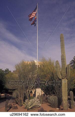 Stock Image -  Phoenix, AZ, Arizona, Gardens on the Arizona State Capitol Grounds. Fotosearch