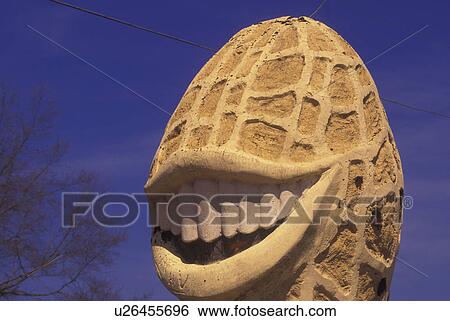 Stock Photograph -  Plains, GA, Georgia, Smiling Peanut Statue, Large Smiling Peanut statue welcomes visitors to Plains, GA, hometown of former President Jimmy Carter. Fotosearch