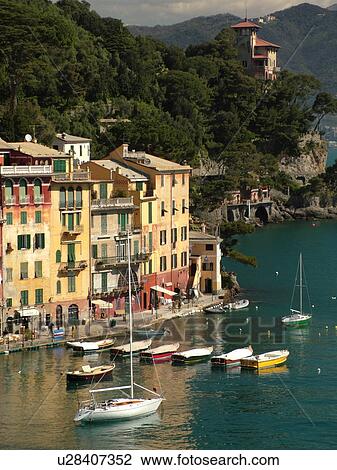 Portofino, Italy, Liguria, Riviera di Levante, Ligurian Riviera, Europe, Scenic view of the village of Portofino along the Ligurian Coast. View Large Photo Image Stock Image - Portofino, Italy, Liguria, Riviera di Levante, Ligurian Riviera, Europe, Scenic view of the village of Portofino along the Ligurian Coast.. Fotosearch